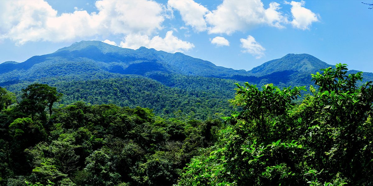 tropical-blog-
